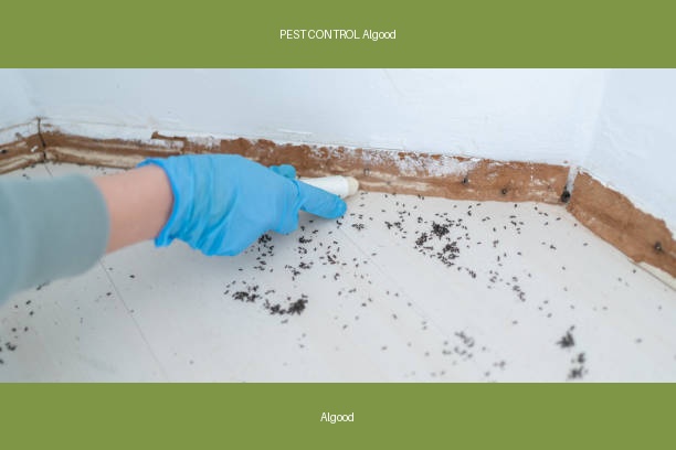 PEST CONTROL Algood